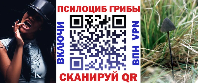 Галлюциногенные грибы мицелий  Якутск 